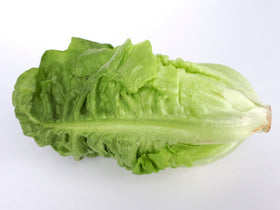 Cos Lettuce Explained: What It Is and Why It Means Romaine