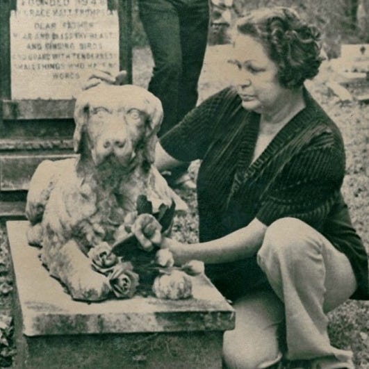 The Pet Cemetery Murders Trailer Explained: Why Two Witnesses Said Dorothy’s Ghost Forced Them to Talk