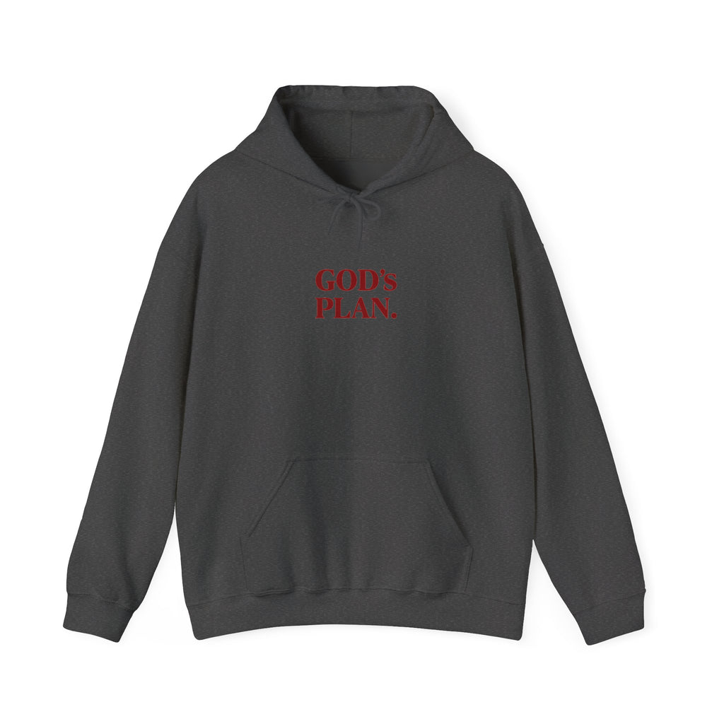 God's Plan Hoodie — Faith-Inspired White Pullover
