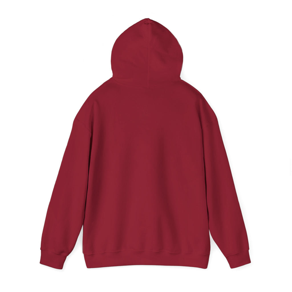 Professional Overthinker Hoodie - Funny Thought Bubble Sweatshirt for Overthinkers