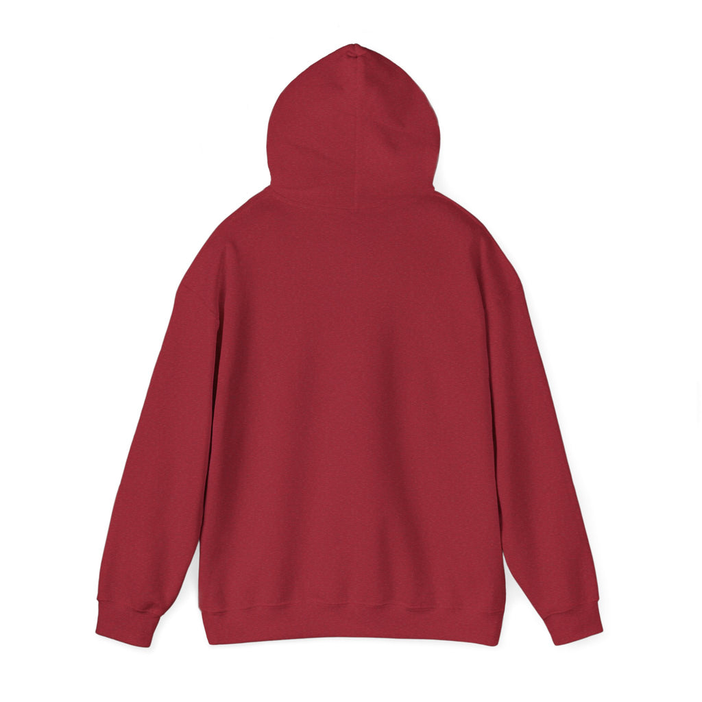 Professional Overthinker Hoodie - Funny Thought Bubble Sweatshirt for Overthinkers